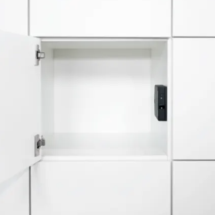 Gantner ECO Side Locker Lock