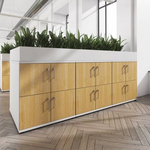 Greening Your Workplace: The Power of Adding Planters on Top of Office Lockers