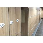 Gantner RFID Locker Lock